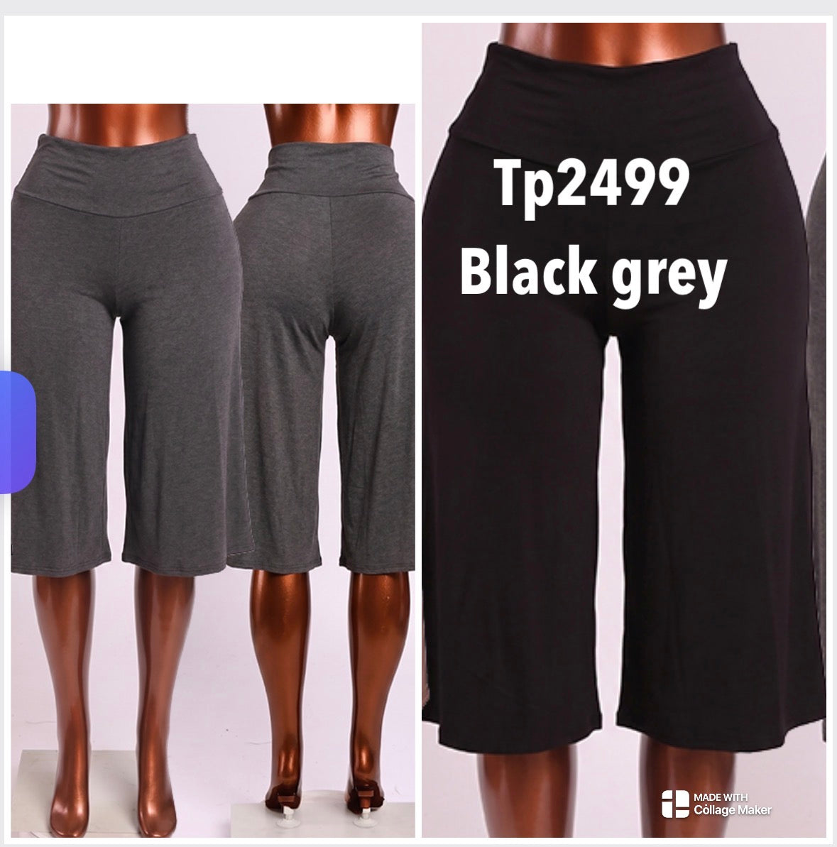 tp2499