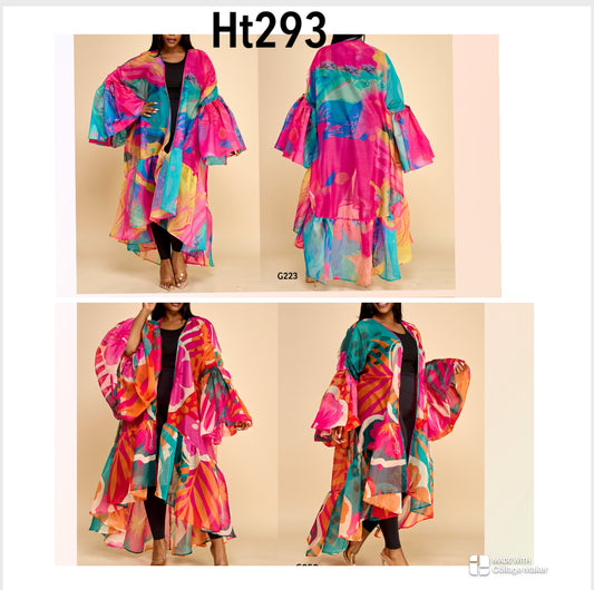 ht293