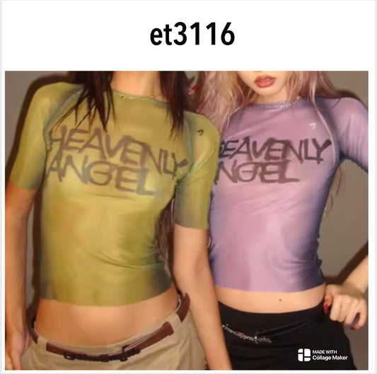 et3116