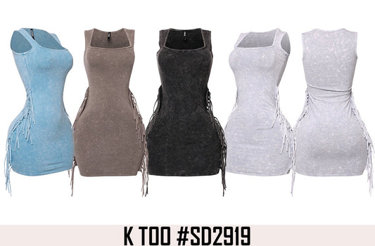 sd2919