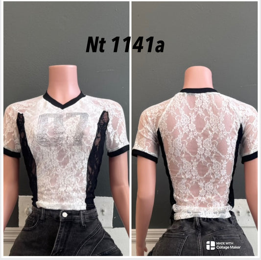 nt1141a