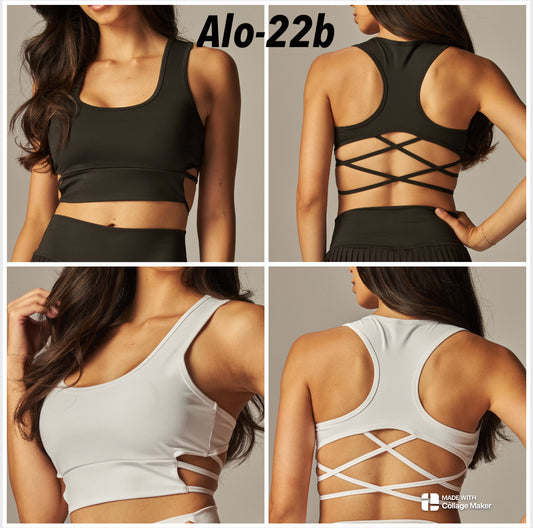 alo-22b