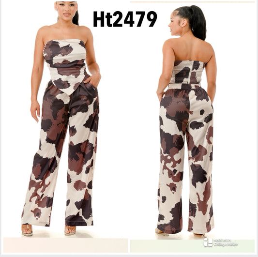 ht2479&hp2479