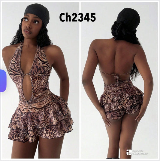 CH2345