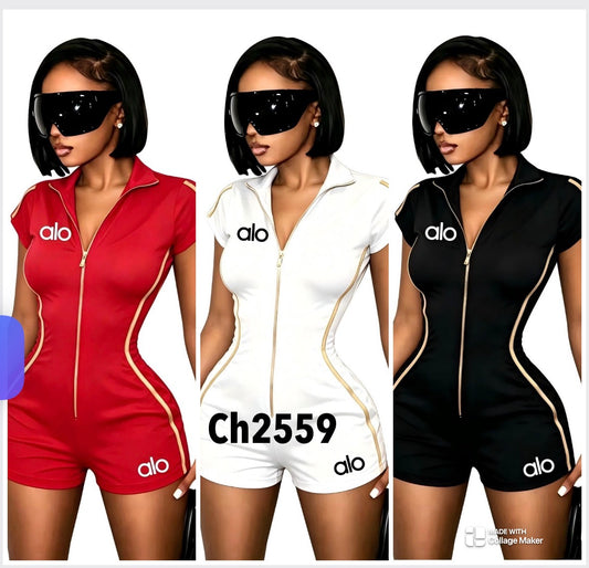 ch2559