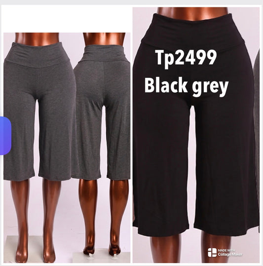 tp2499