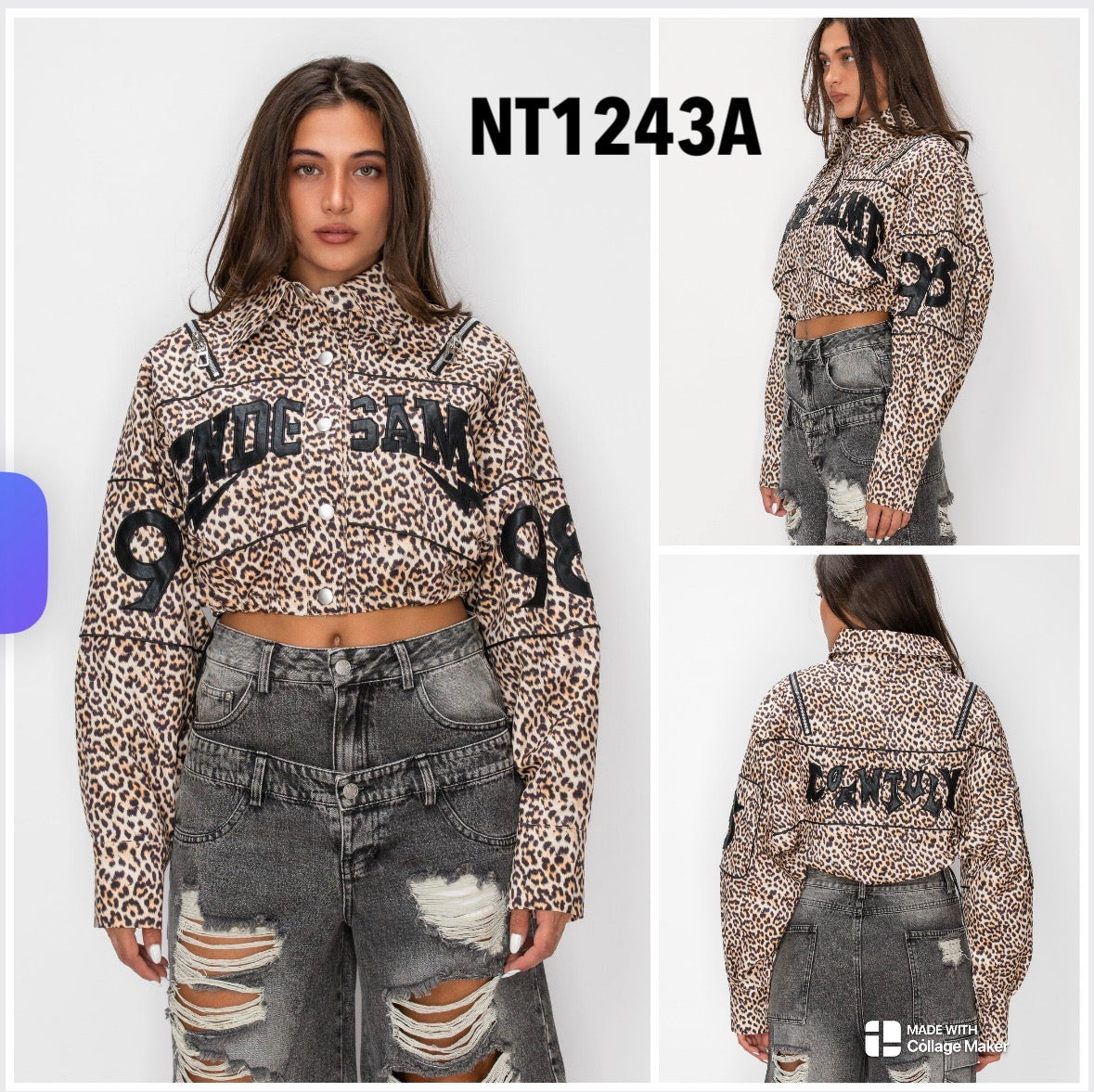 nt1243a