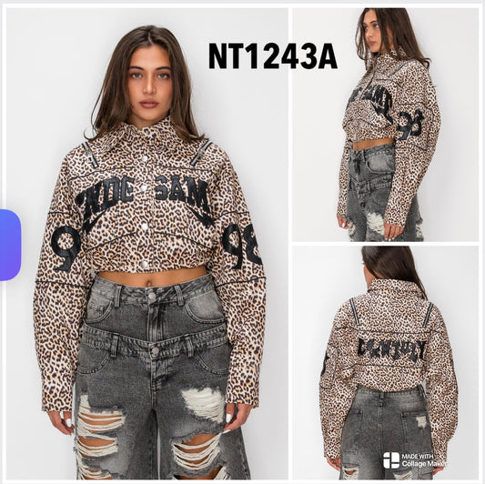 nt1243a